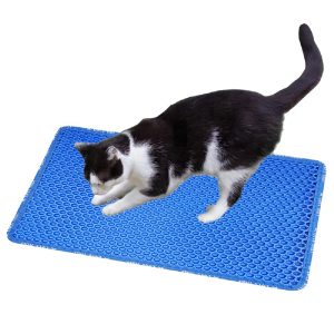 Blue Cat Pad 5