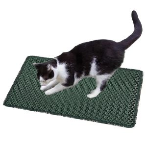 Cat Pad 9