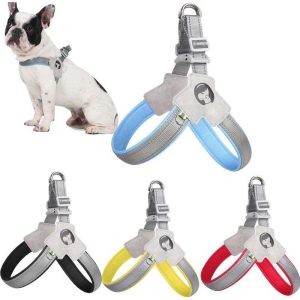 Dog Harness 14