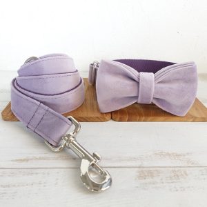 Gray Collar Leash 33