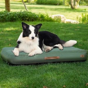 High Side Dog Bed 17