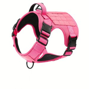 Pink Harness 5
