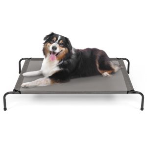 Raised Dog Bed 12