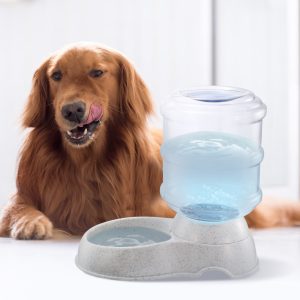Self Feeder Food Dispenser 10