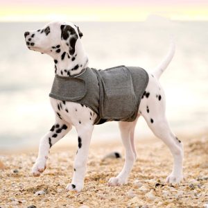 Small Dog Vest 10