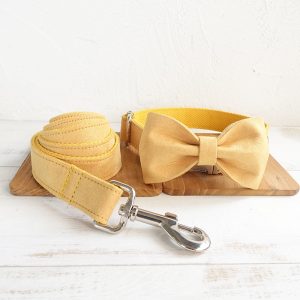 Yellow Collar Leash 37