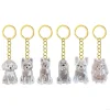 Clear Box Keychain for Pet Keepsake
