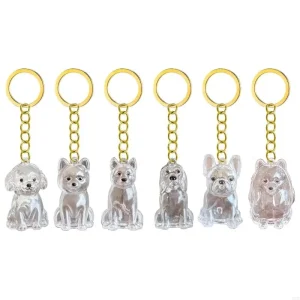 Clear Box Keychain for Pet Keepsake