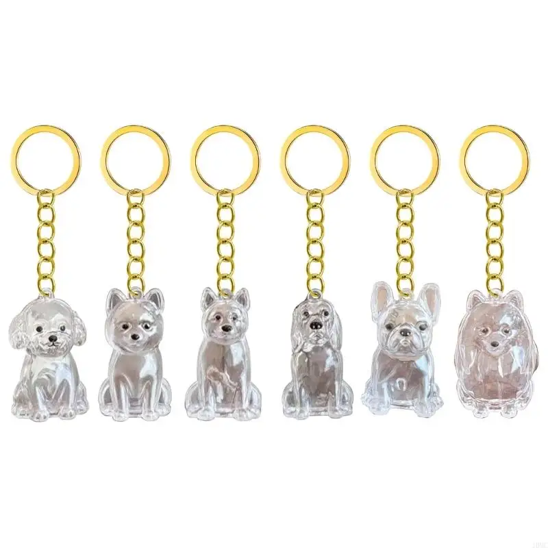 Clear Box Keychain for Pet Keepsake