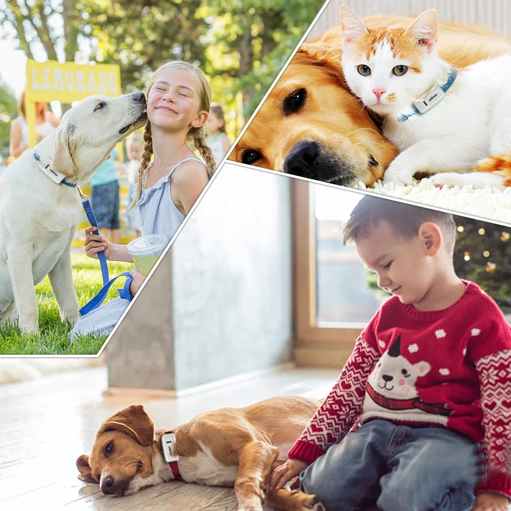 Dog GPS Tracker TK909 Waterproof IP65 Geofence Google Track GPS For Cat Collar Voice Monitor Mini GPS Locator For Dog FREE APP - Image 2