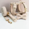 Plush Paws: Teddy Velvet Custom Collar & Leash Set