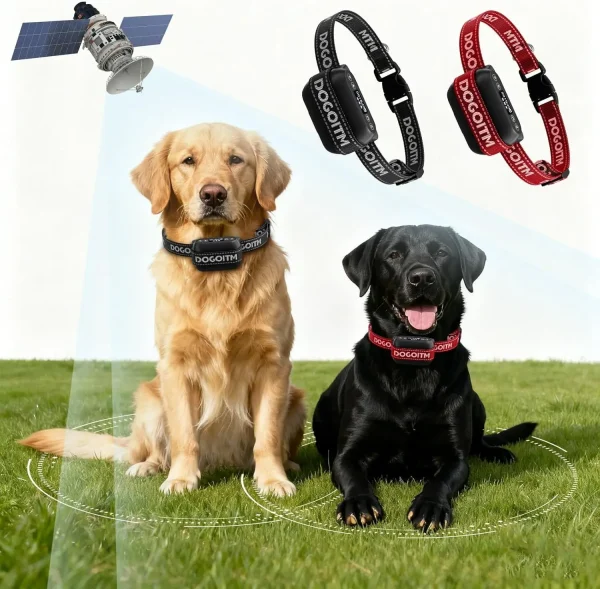Boundary Buddy Waterproof rechargeable pet boundary collar.