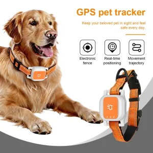 Critter Compass: Real-time GPS tracking and voice-call safety