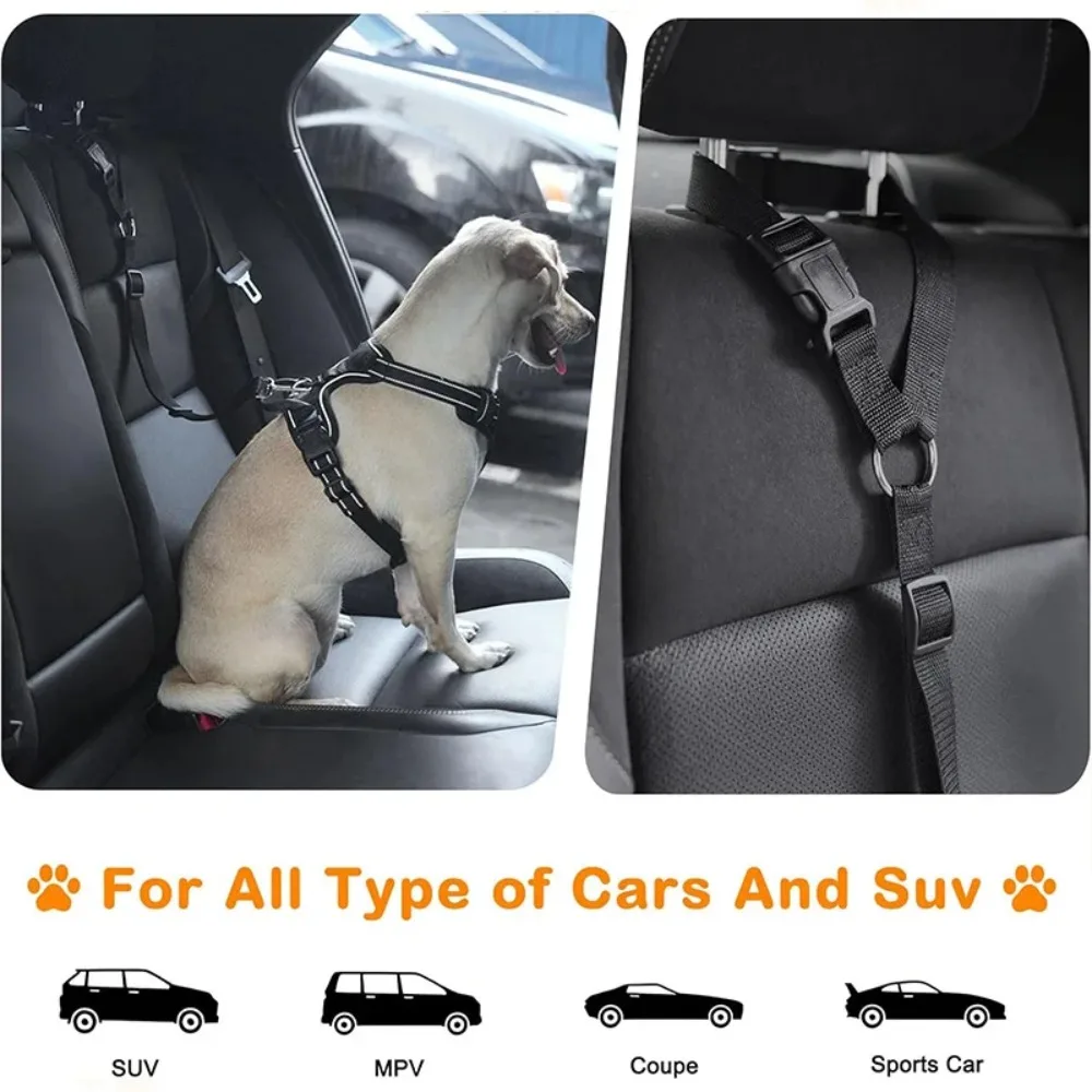 Leash Blk 2