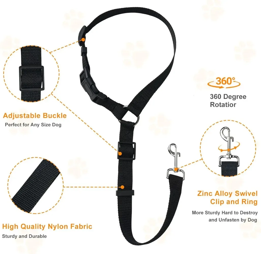 Leash Blk 3