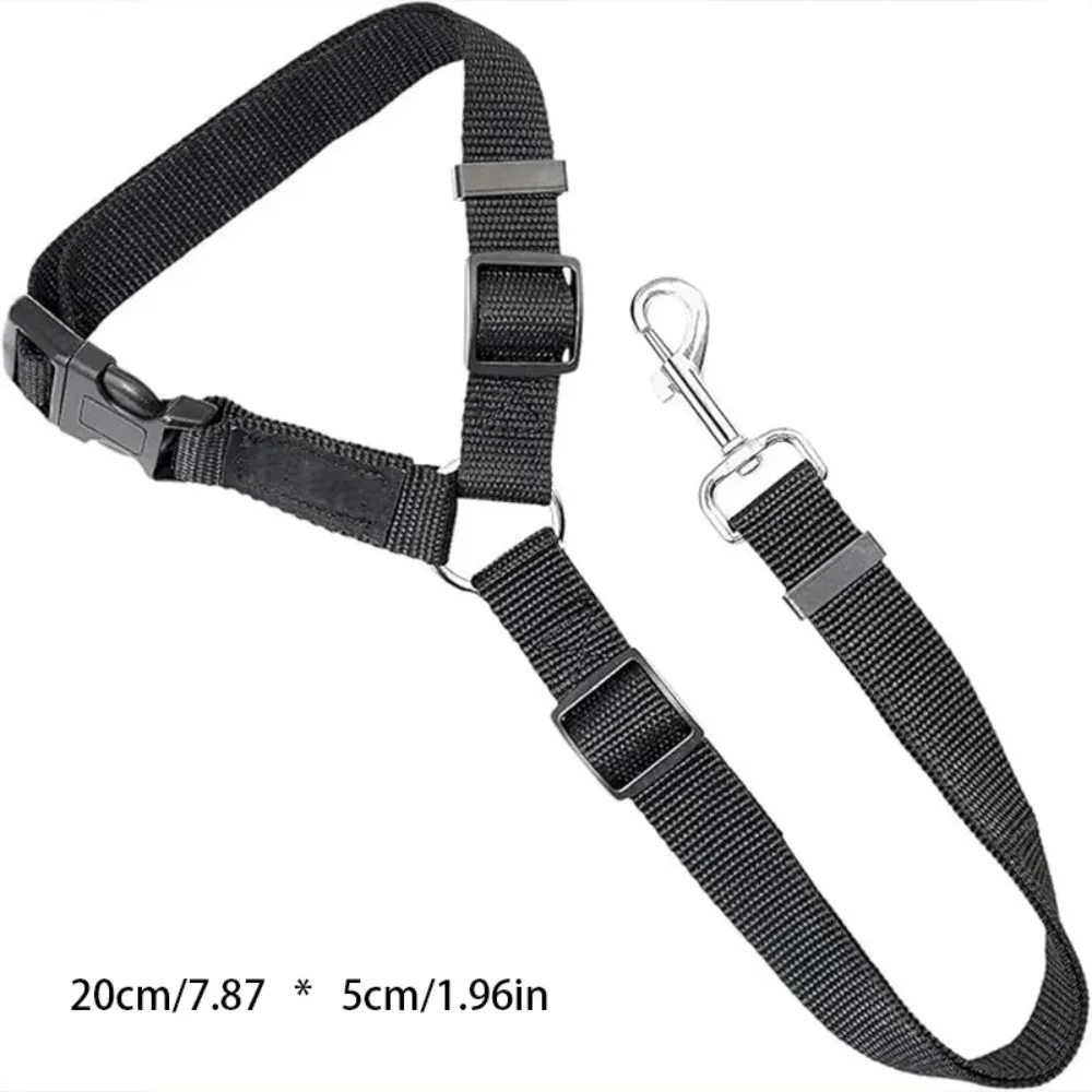 Leash Blk