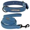 Personalized Padded Leather Dog Collar – Professional Identification Set