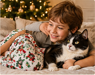 Christmas Cats — Close Pattern — Petty PJs Christmas lifestyle inspiration