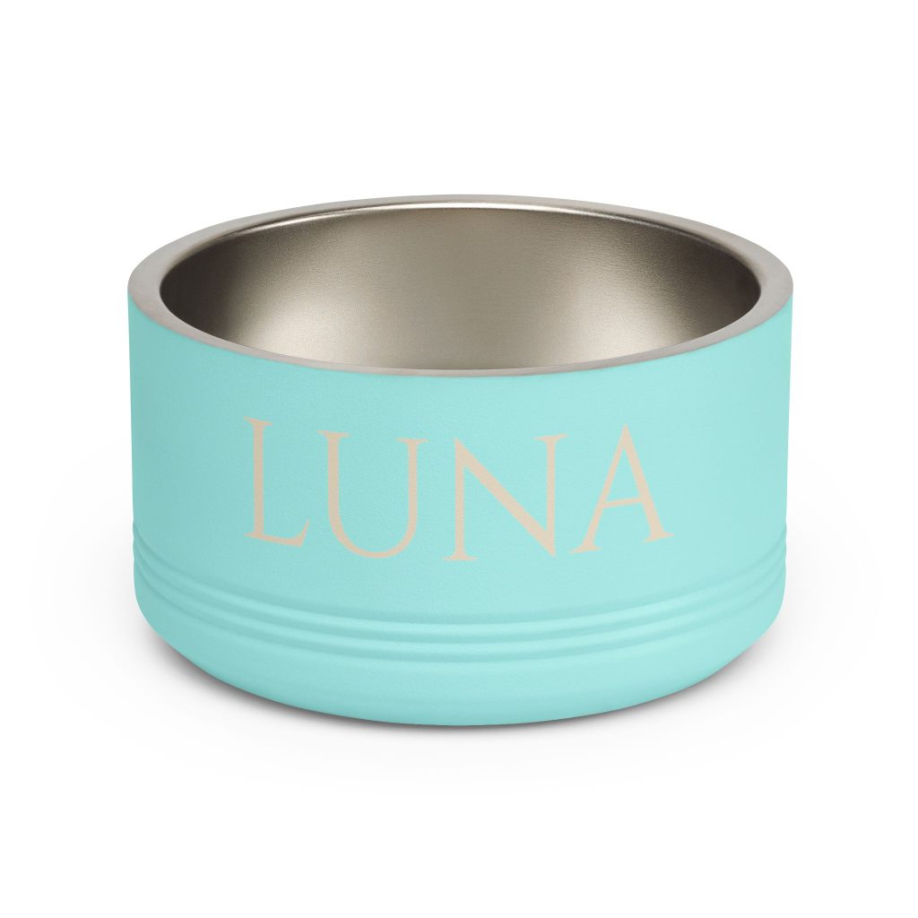 Botanical Buddy Bundle personalized teal stainless steel pet bowl, product image